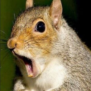 Meet your Posher, Alicia